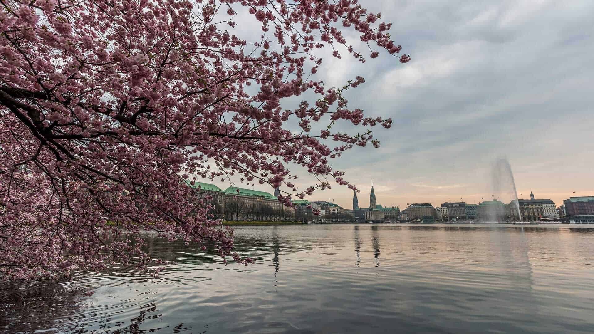 Alster Park, Hamburg, Germany