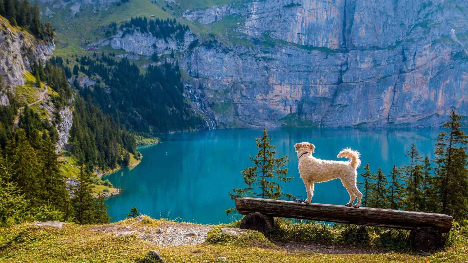 Bergsee Lake, Switzerland