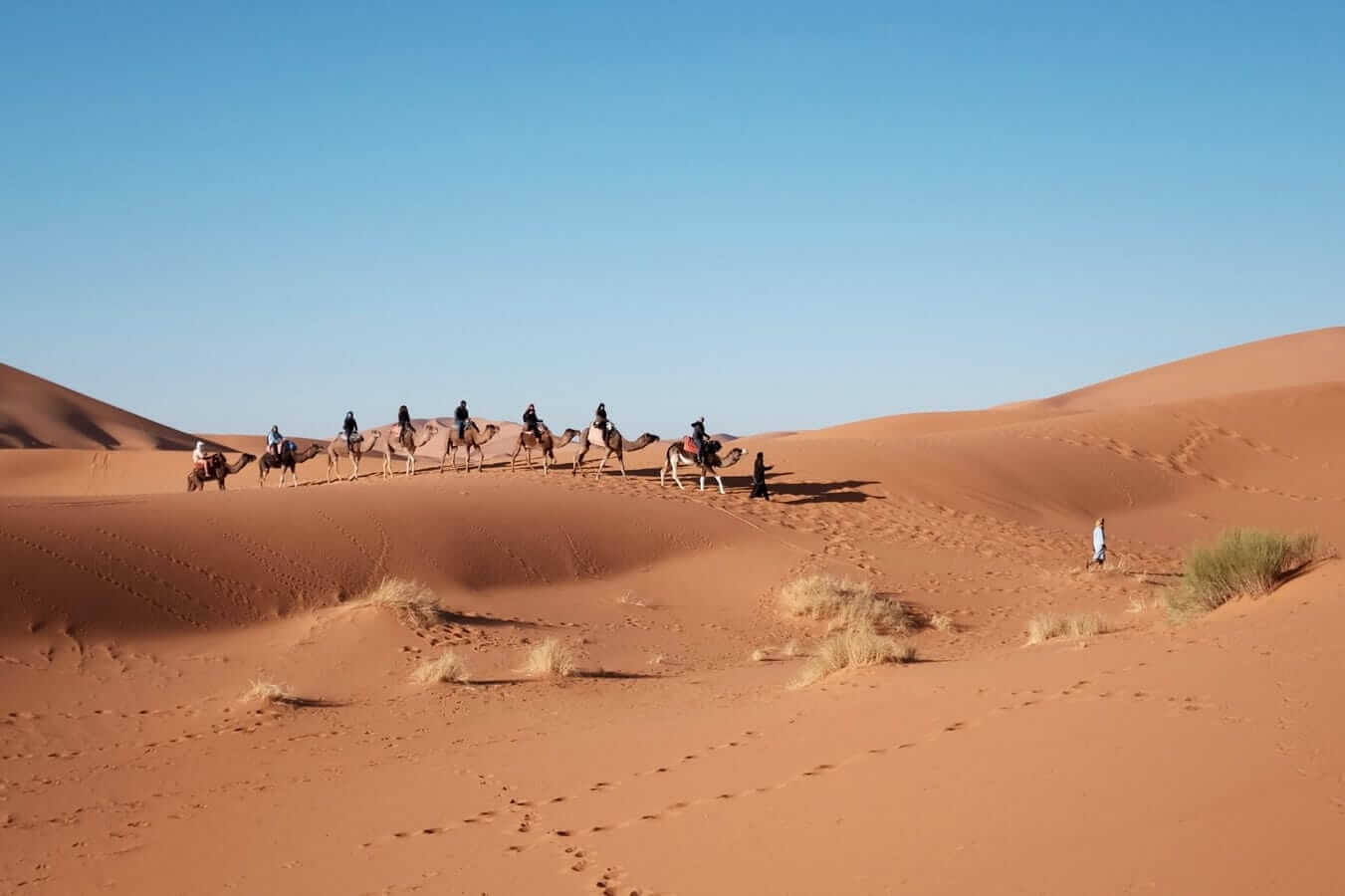 Camel Safari, Thar desert