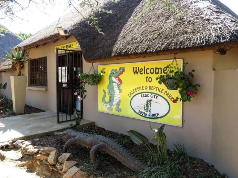 Johannesburg with kids 10 activities you can't miss! Talk Travel