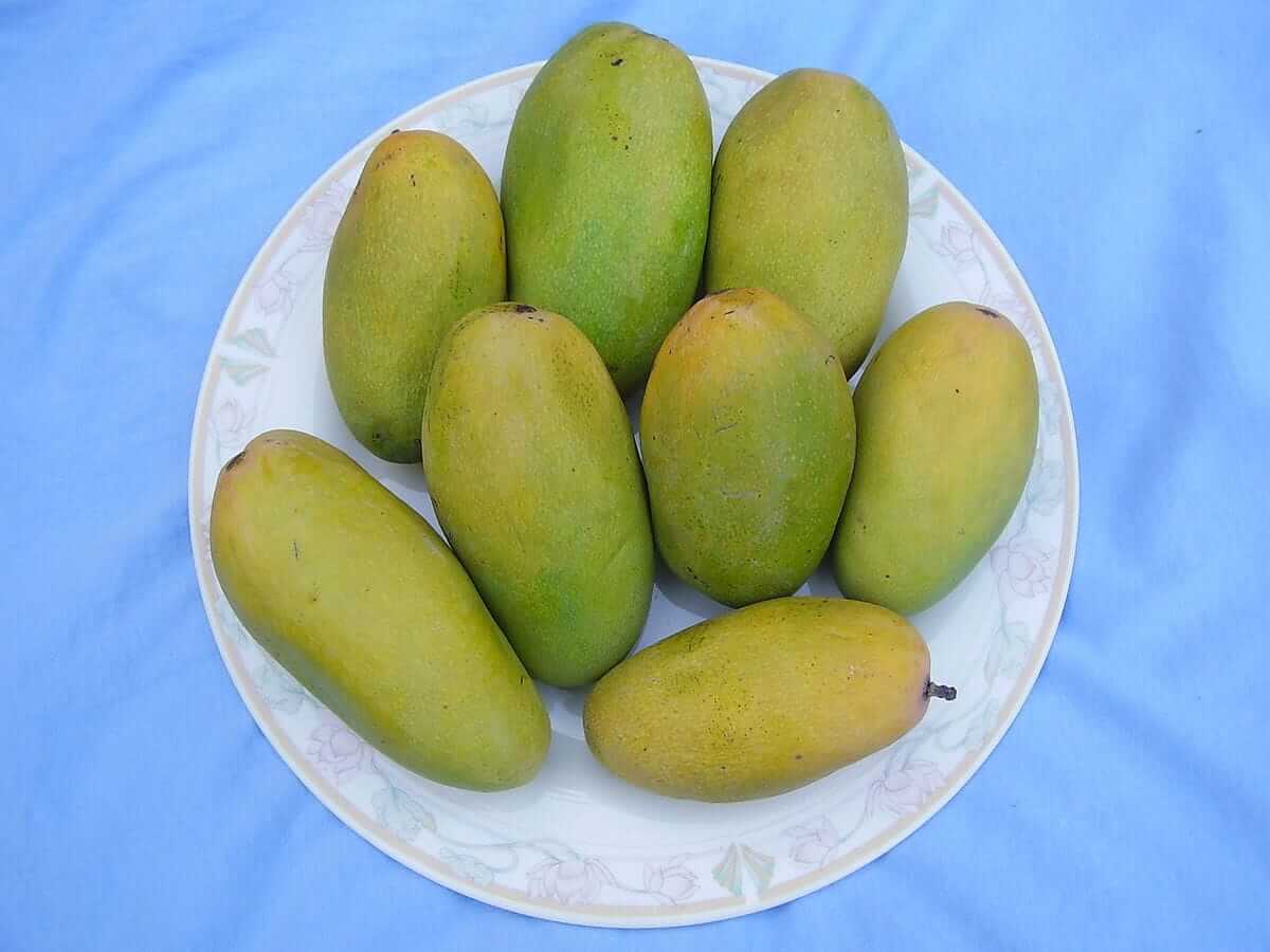 Dashehri Mango