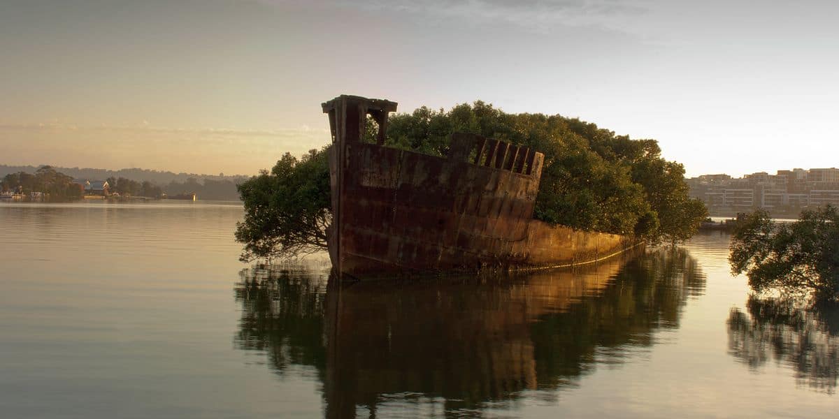 Floating Forest, Sydney, Australia