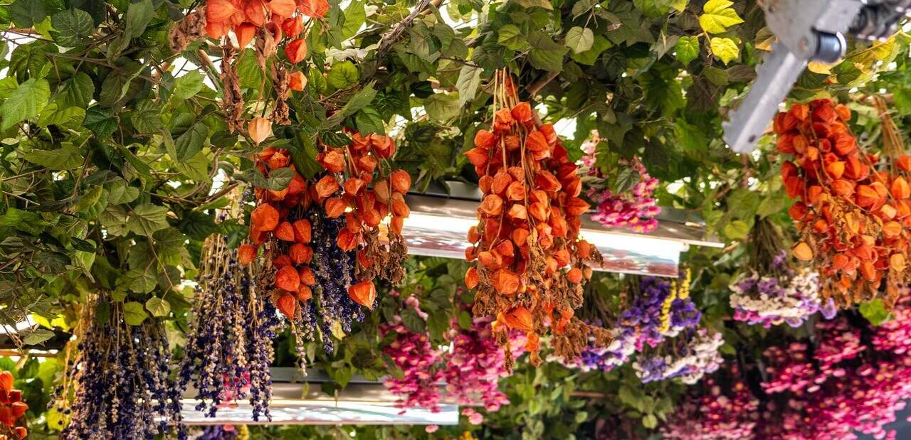 Flower-market-Amsterdam-Netherlands