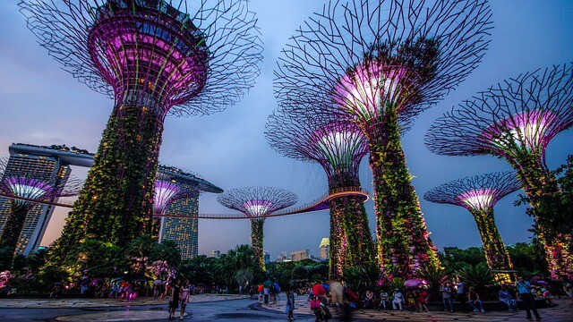 Gardens by the Bay with the OCBC Skywalk in Singapore