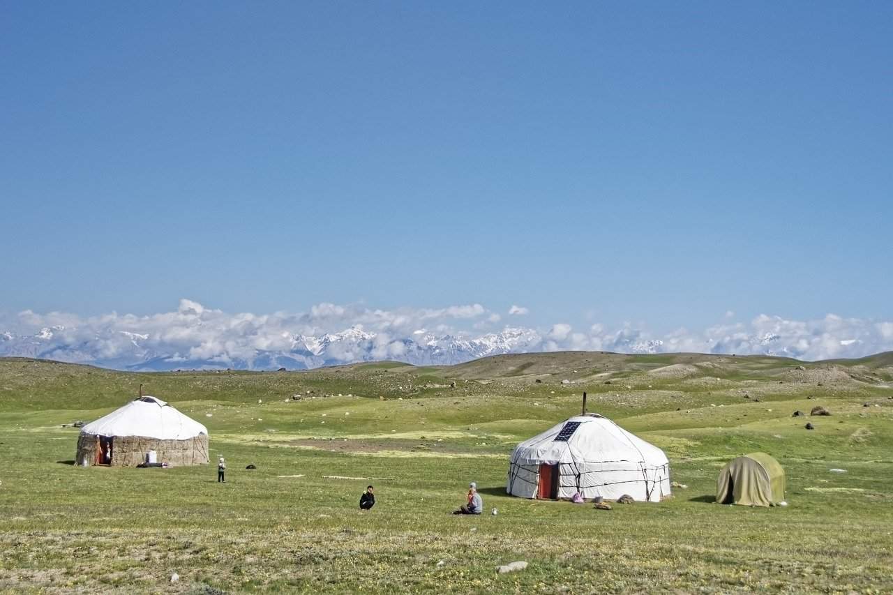 Ger in the meadows, Mongolia