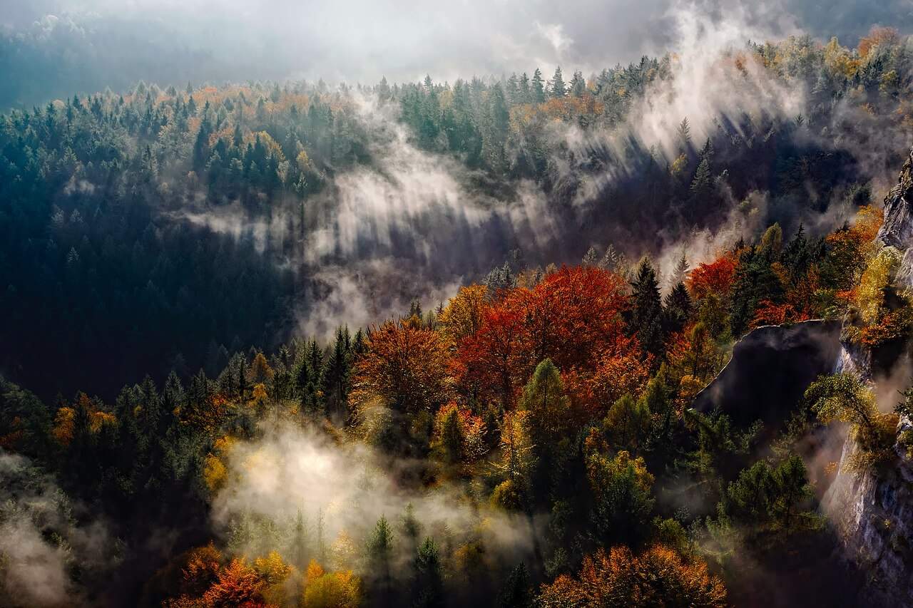 Germany-mountains-autumn