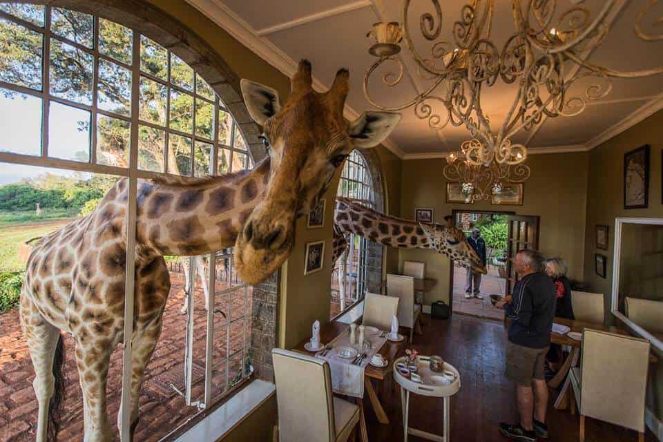 Giraffe Manor, Kenya Hoteles únicos