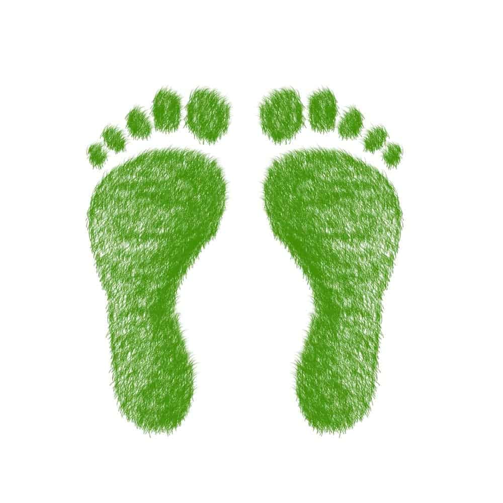 Green-carbon-footprint