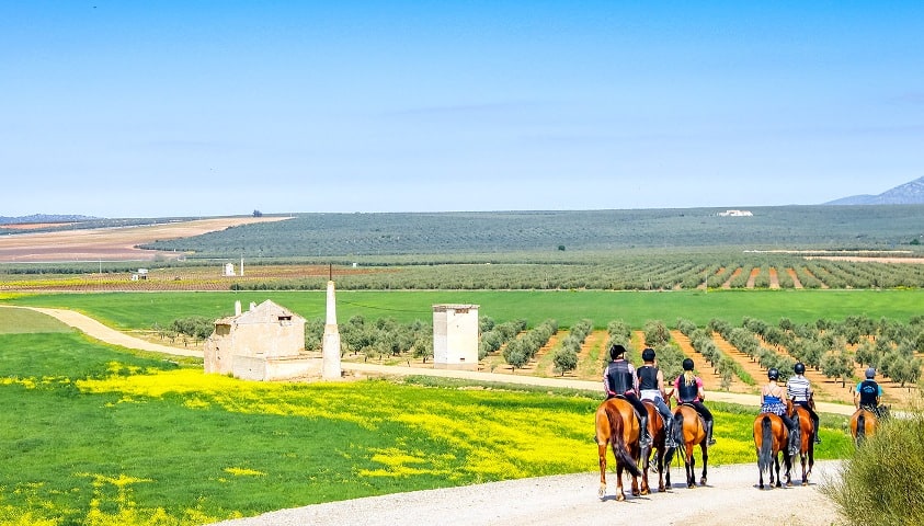 Hacienda-Horse-Riding-Holidays-Spain-mountains