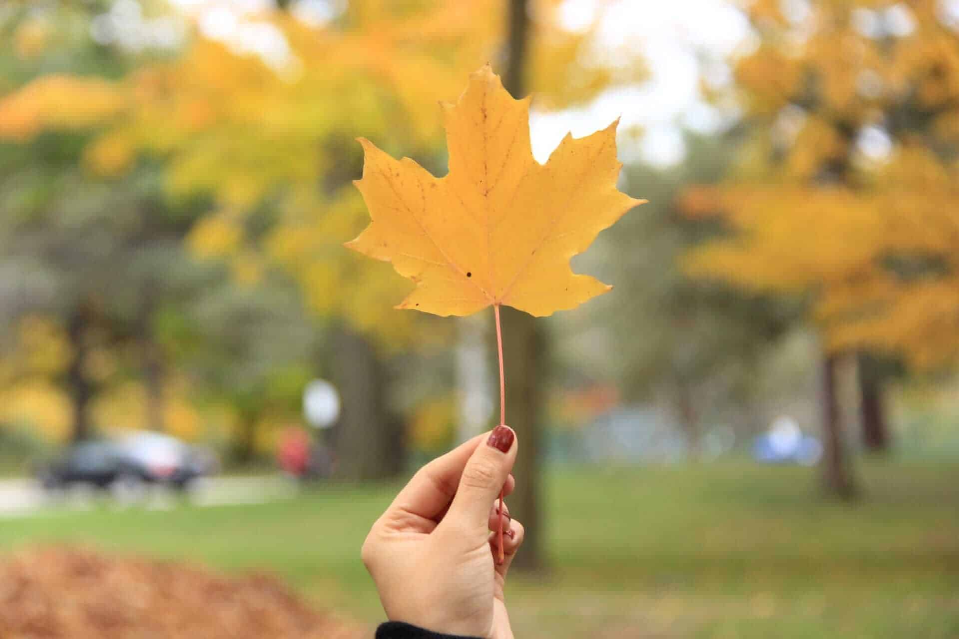 High Park, Toronto, Canada