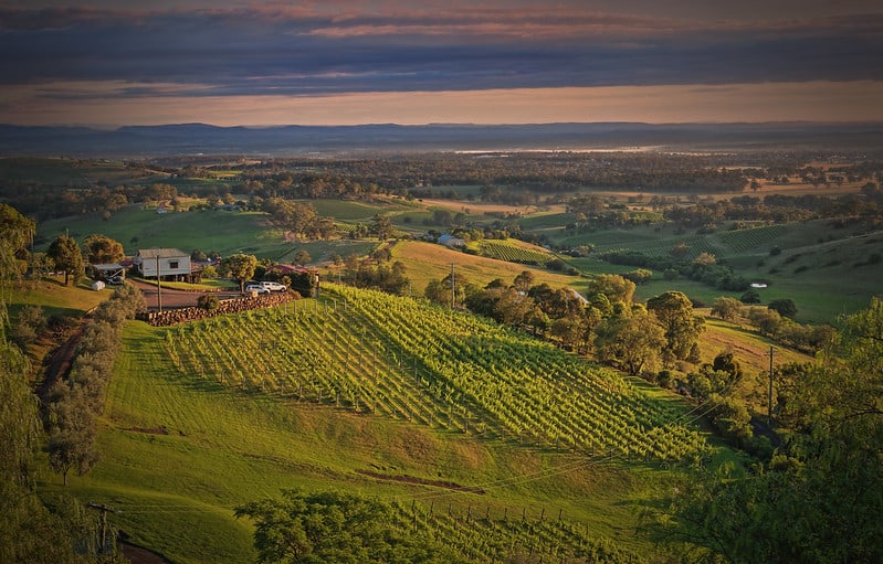 Hunter Valley Winery, Sydney, Australia