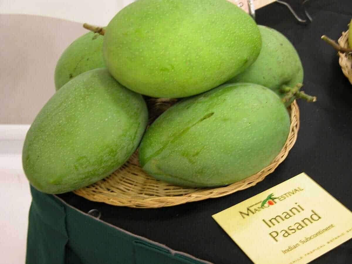 Imaampasand Mango