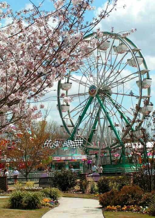 International Cherry Blossom Festival, Macon, GA