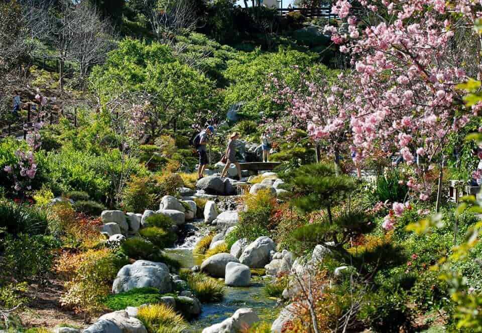 Japanese Friendship Garden, San Diego