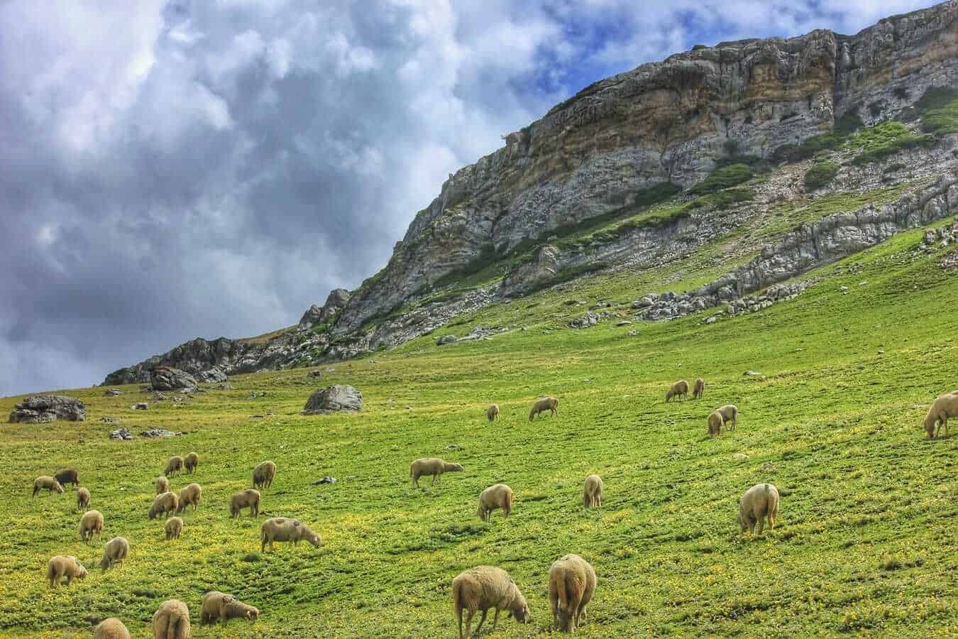 Kashmir, India