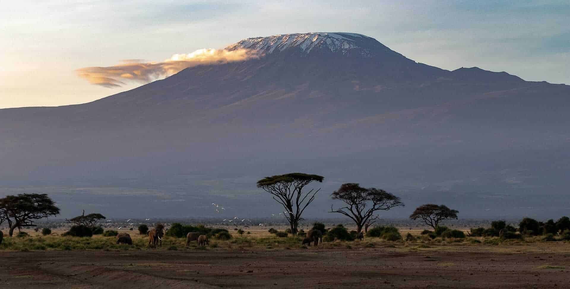 Kilimanjaro Mountain