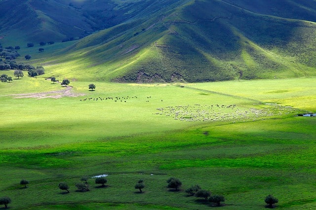 Mongolia