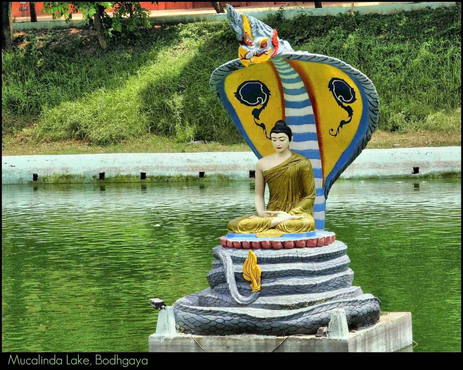 Mucalinda Lake, Bodh Gaya, Bihar, India