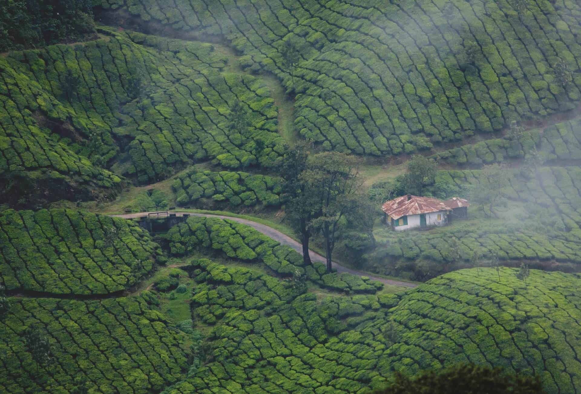 Munnar, Kerala, India in a campervan