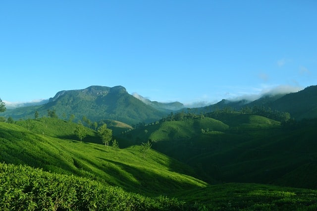 Munnar in Kerala