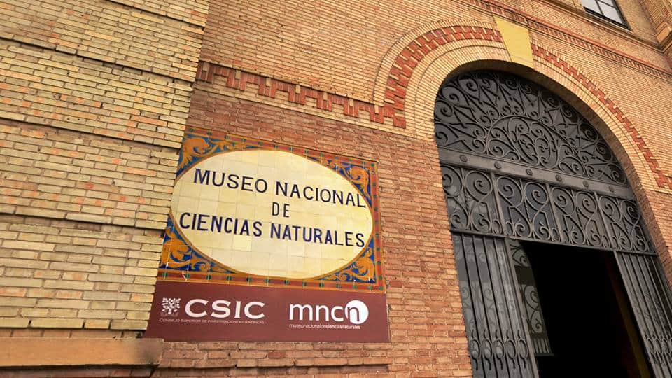 Museo-Nacional-de-ciencias-naturales-Madrid-Spain