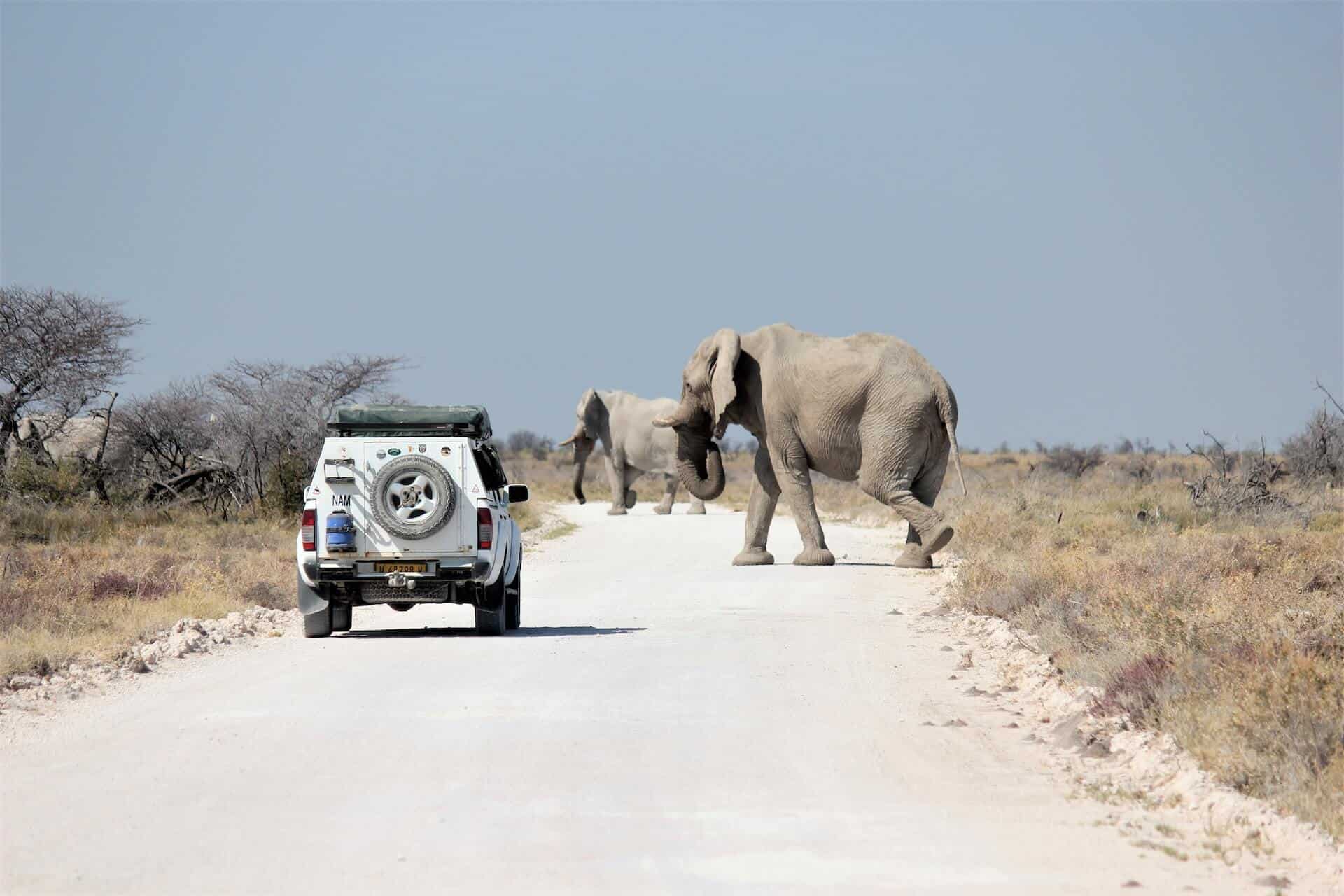 Namibia in a campervan