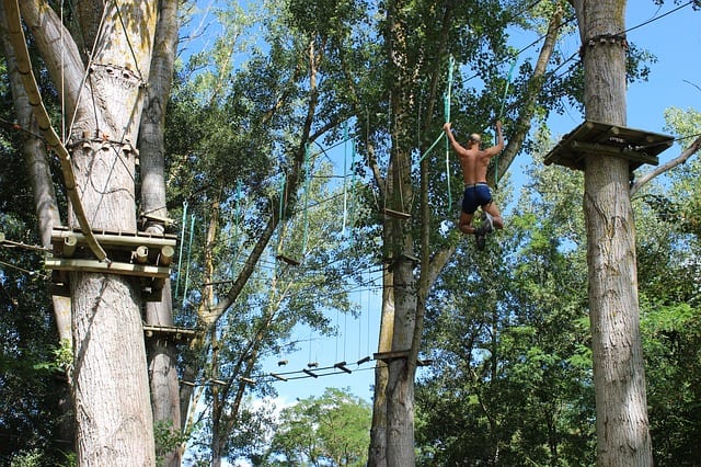 Obstacle Course At Adrenalin Forest, Christchurch, New Zealand