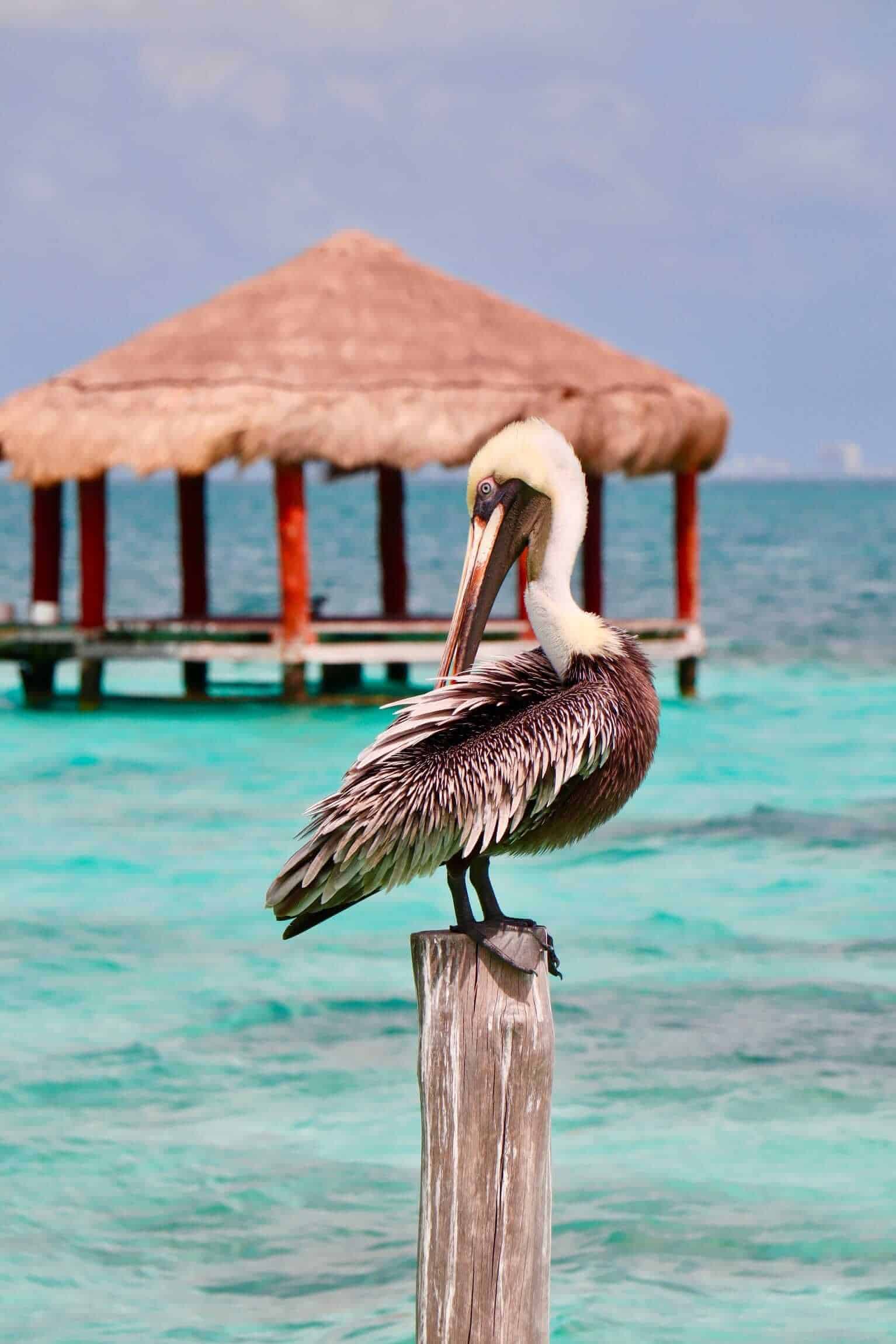 Puerto Morelos, Mexico