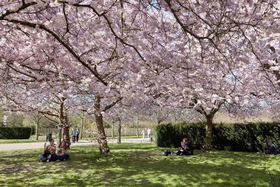 Regent's Park, London