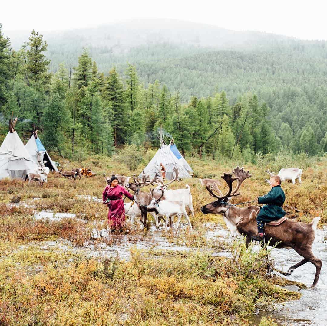 Reindeer Tribe of Mongolia