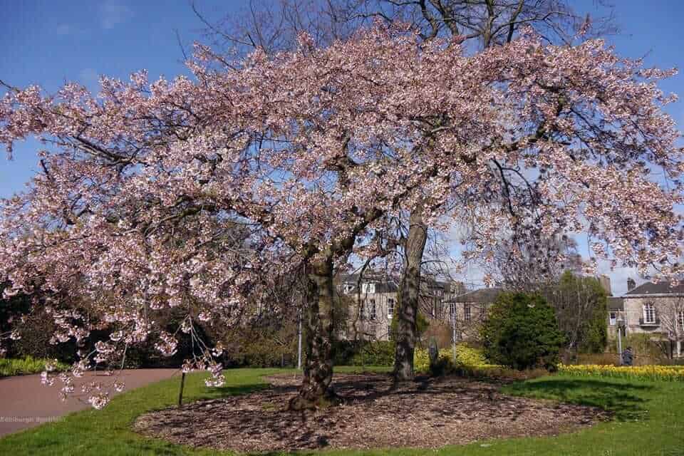 Royal Botanic Gardens, Edinburgh, Scotland