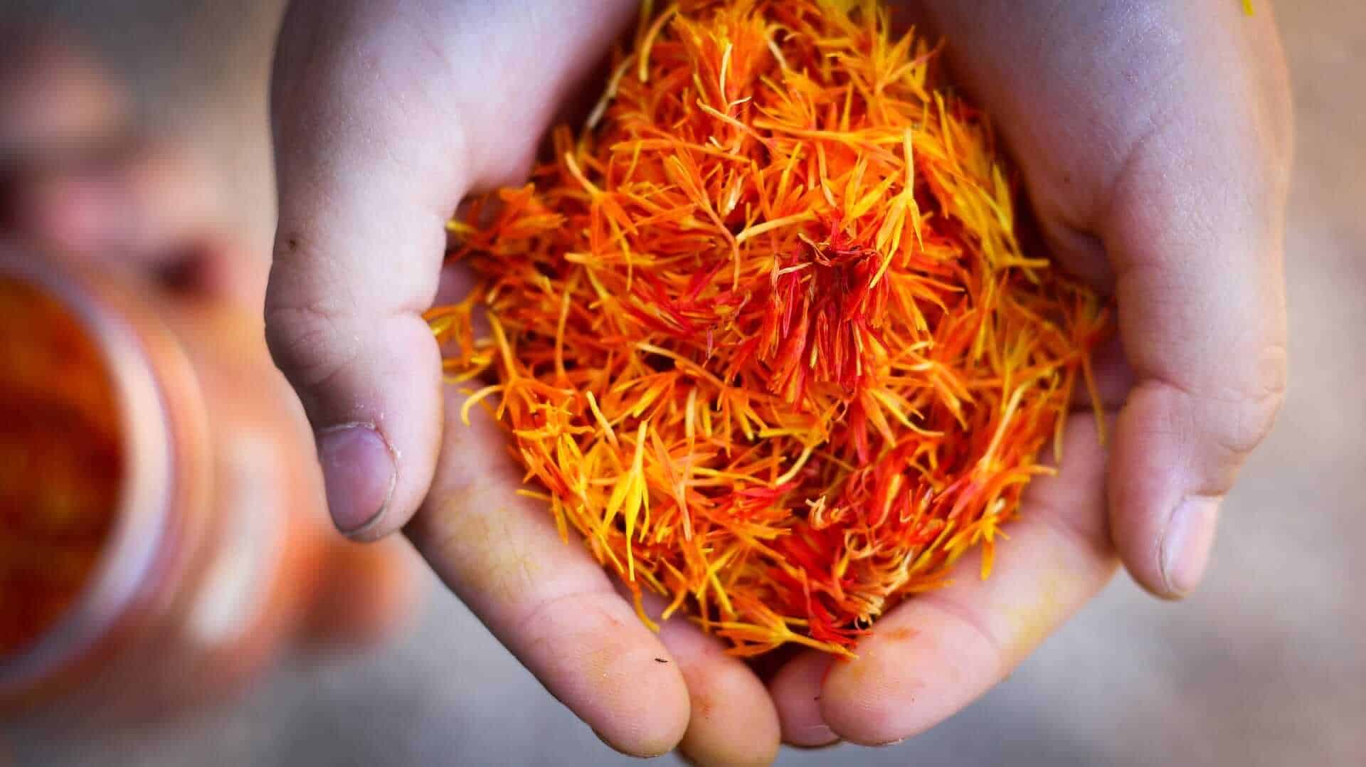 Saffron from Kashmir