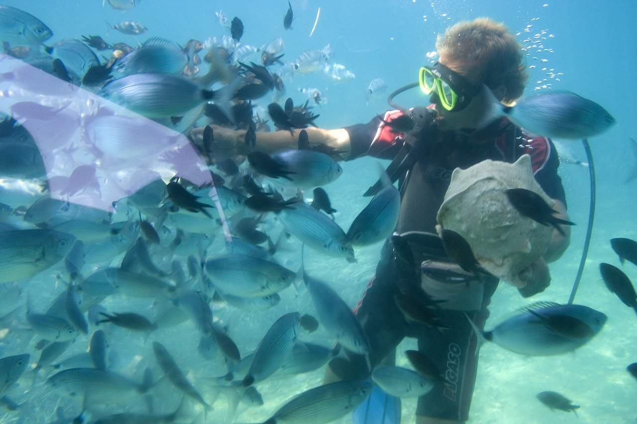Snorkelling With Fish