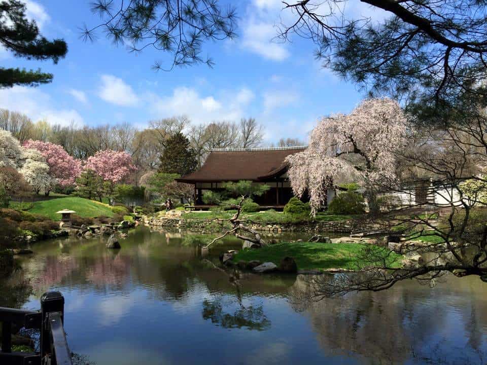 Subaru Cherry Blossom Festival of Greater Philadelphia