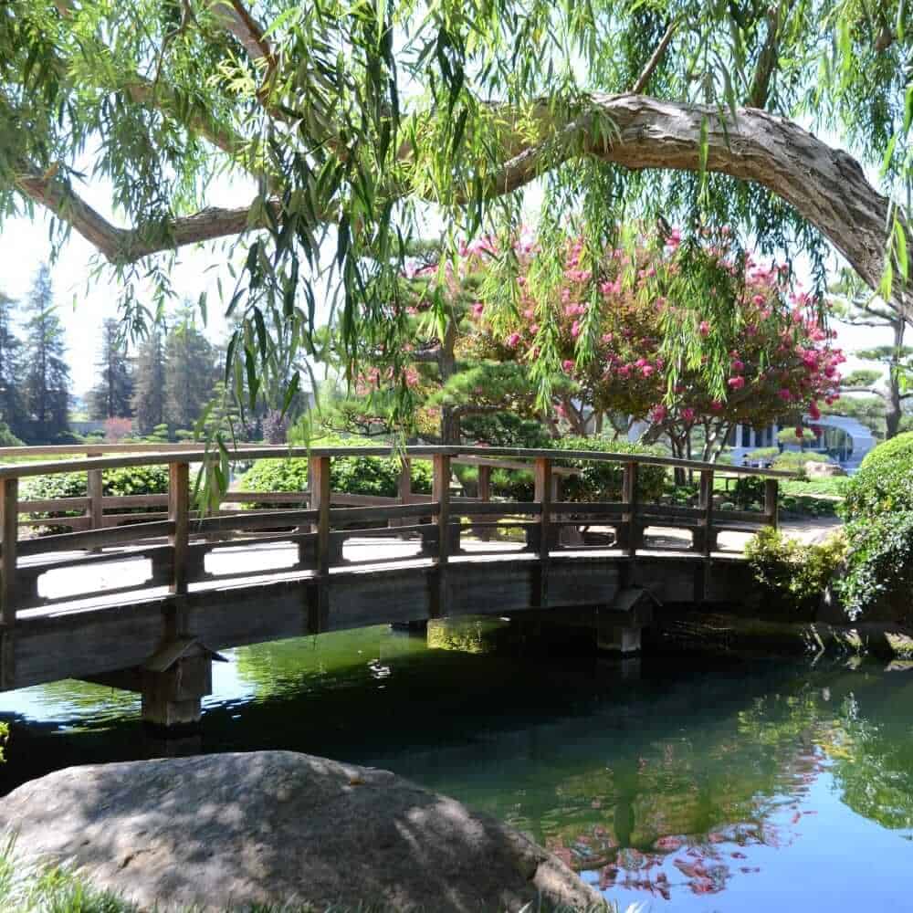 The Japanese Garden, Los Angeles