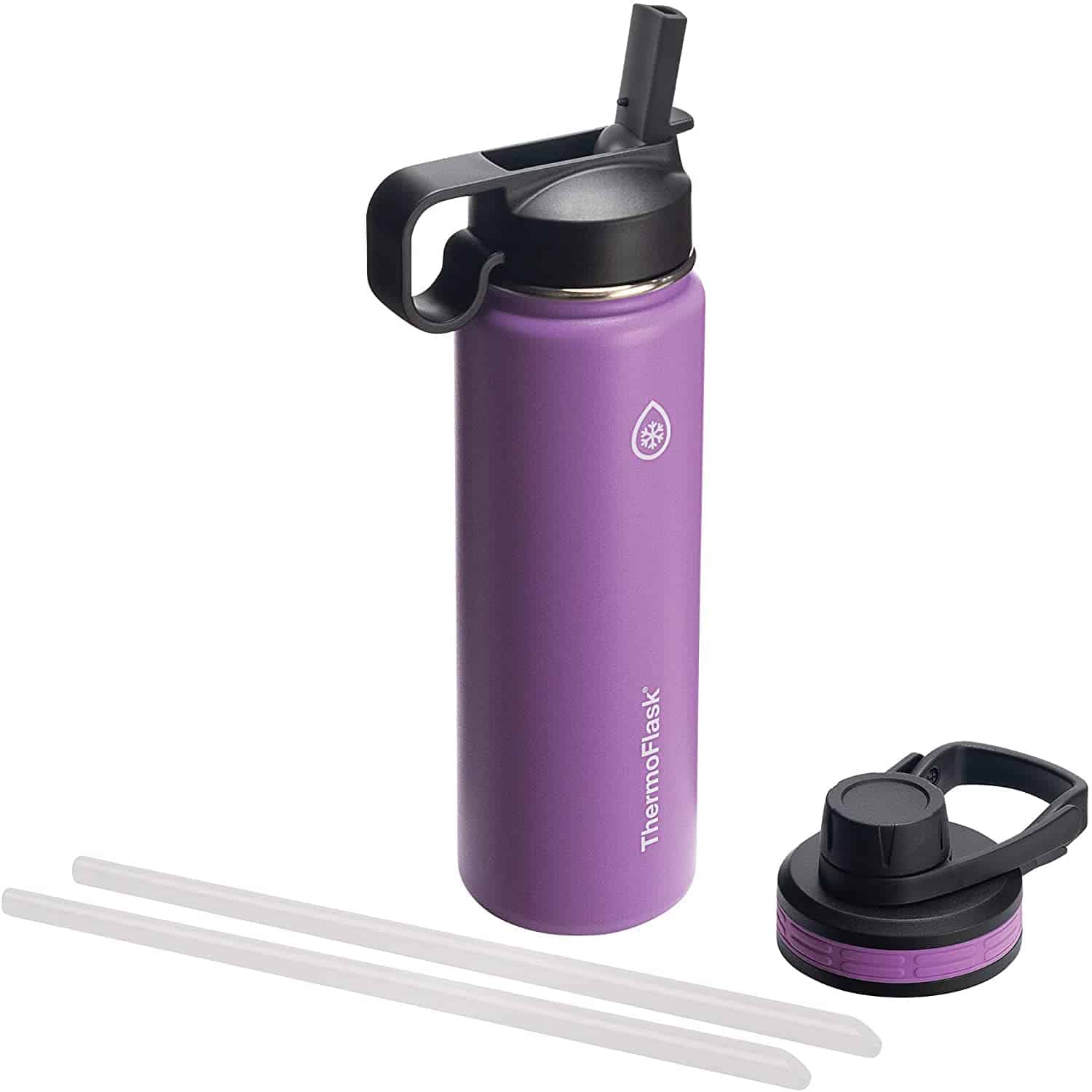 Thermoflask Insulated Water Bottle