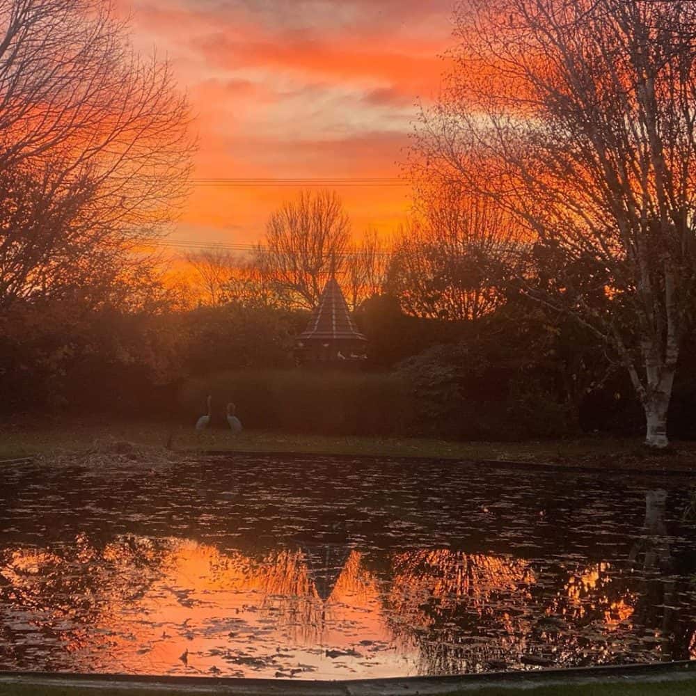 Trott's Garden, Christchurch, New Zealand