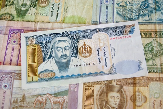 Tughrikh, The Local Currency of Mongolia