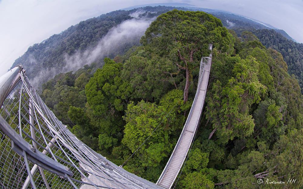 Ulu Temburong National Park, Brunei