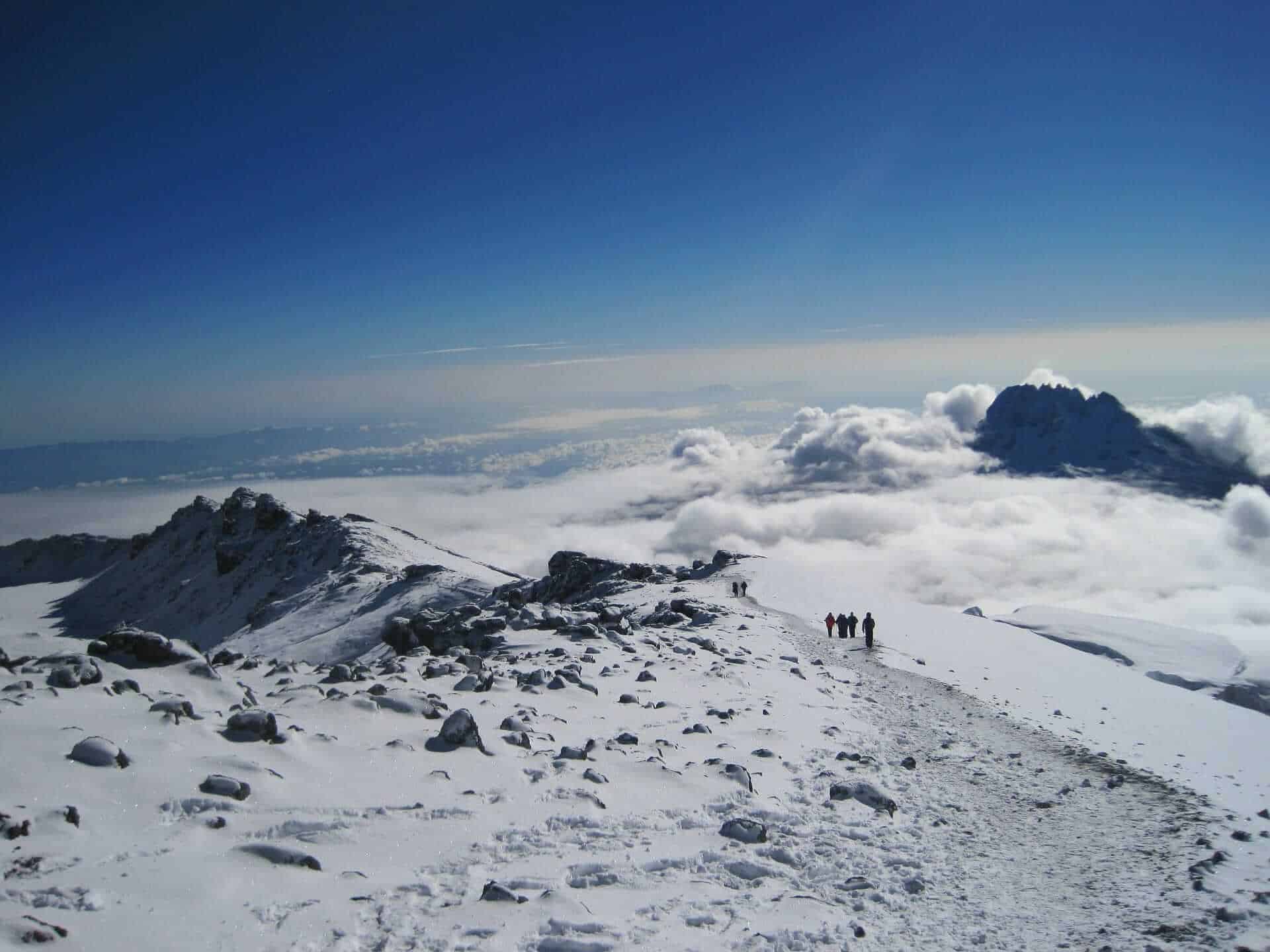 View from Kilimanjaro