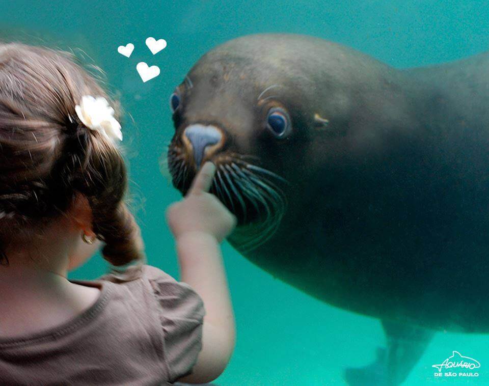 kid at aquario-de-sao-paulo-aquarium