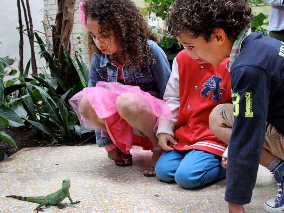 Kids at Artis Zoo