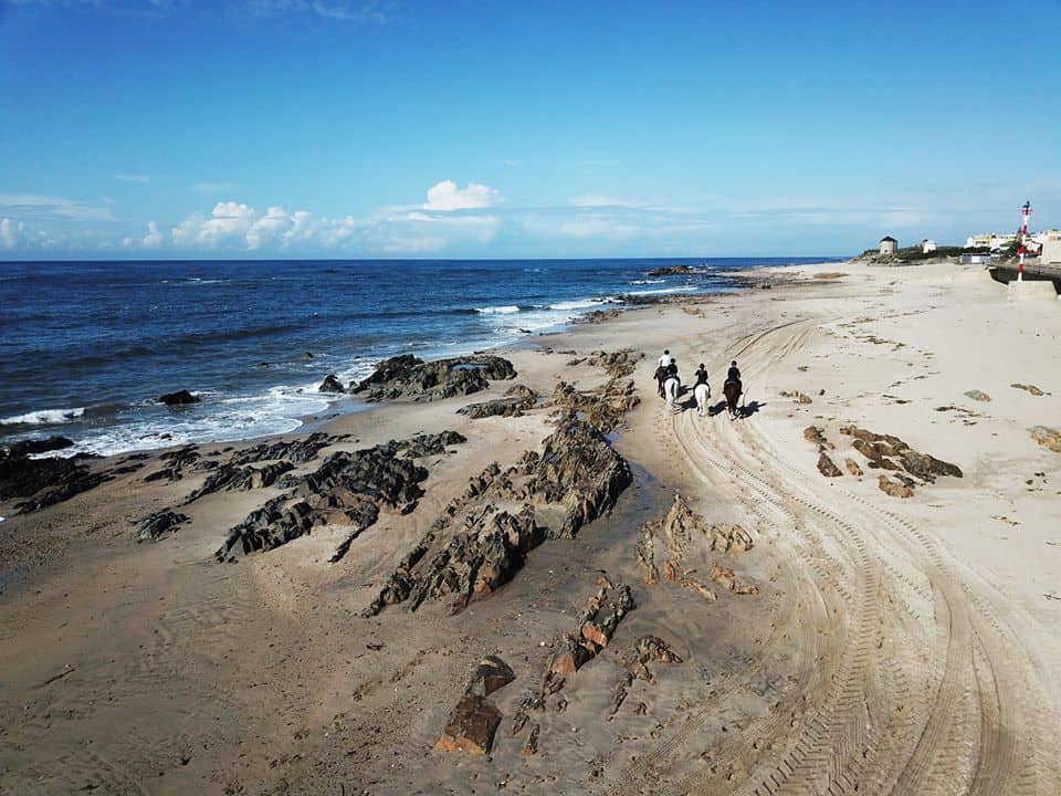 horseback-riding-Portugal-Portugal-Equestrian-holidays