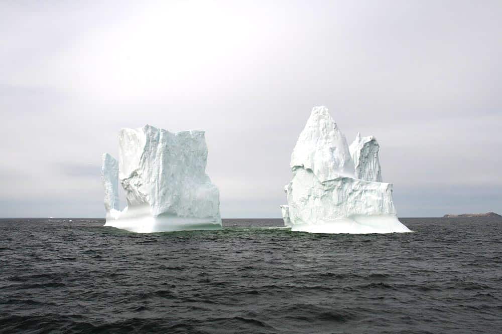 icebergs in newfoundland canada