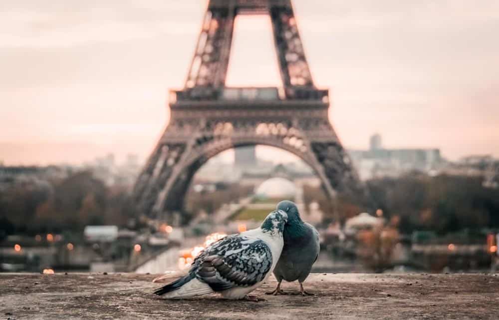 Paris Eiffel Tower valentine's day around the world