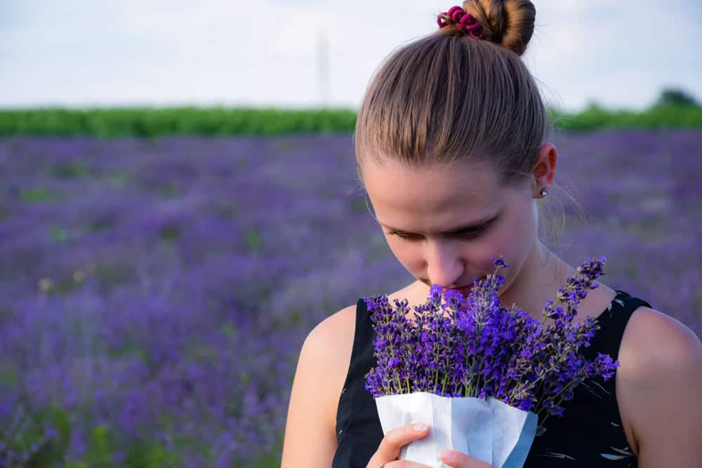 Smelling lavender