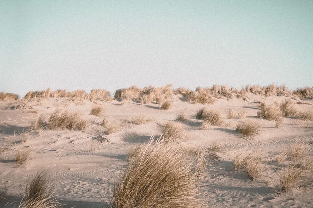 Dunes in Netherlands