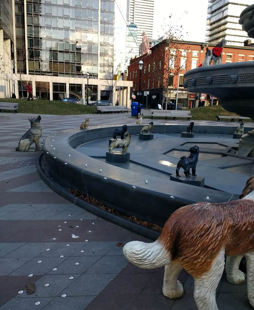 Toronto Layover Berczy park