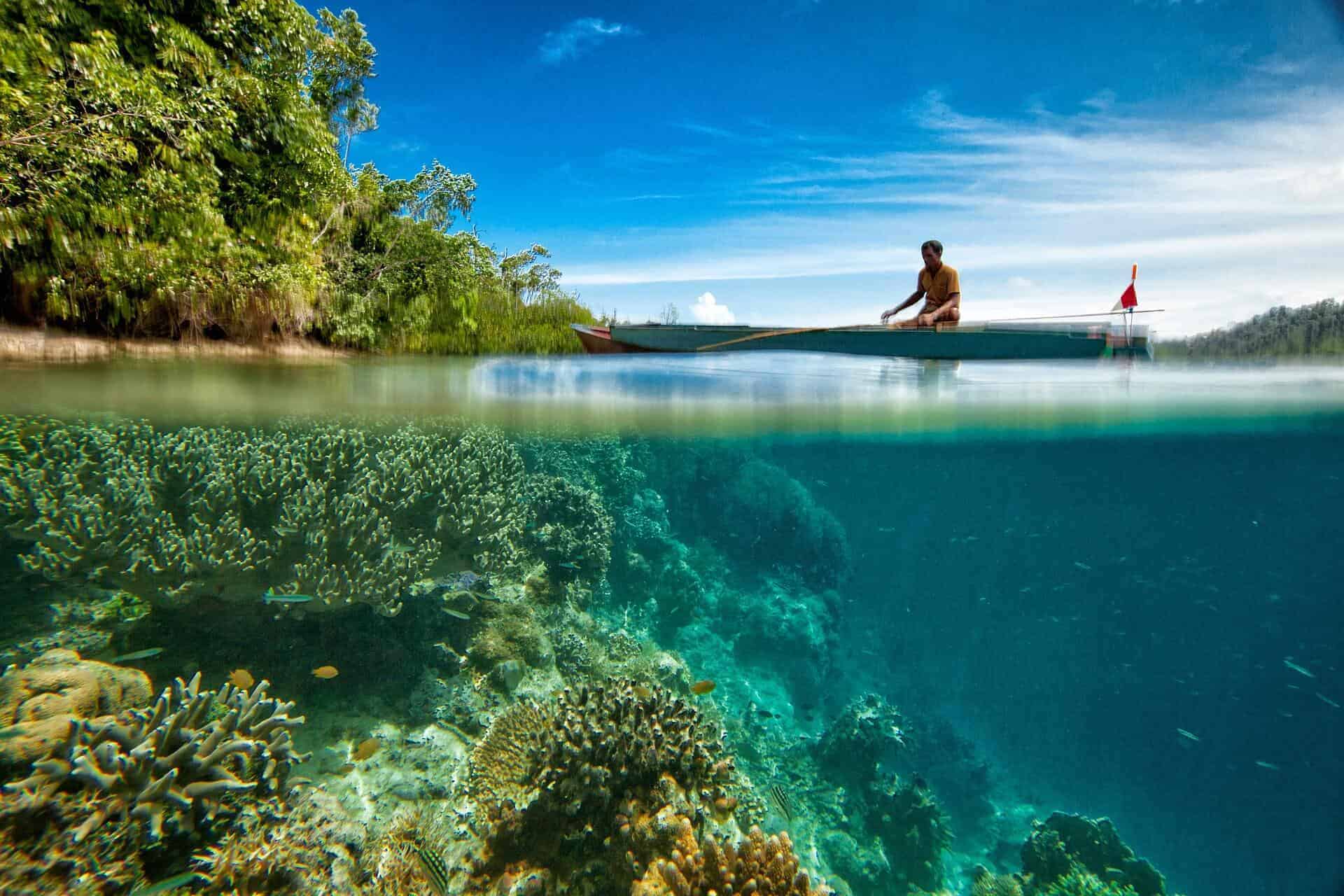 underwater life Indonesia